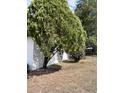 Exterior shot of a home with a fenced in backyard featuring mature trees and bushes at 15081 Sw 35Th Cir, Ocala, FL 34473