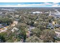 Panoramic aerial shot of a vibrant neighborhood with homes nestled among mature trees at 213 James Dr, Winter Garden, FL 34787