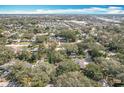 Expansive aerial view of a lush, green neighborhood with scattered homes and mature trees at 213 James Dr, Winter Garden, FL 34787