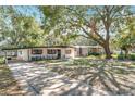 Attractive single-story home with mature trees, a carport, and a green front lawn at 213 James Dr, Winter Garden, FL 34787