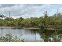 Scenic view of a pond surrounded by lush greenery and trees at 13900 Corrine Key Pl, Orlando, FL 32824