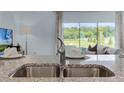 A stainless steel kitchen sink with modern faucet is set against a backdrop of lush greenery at 3350 Private Oak Dr, Apopka, FL 32703