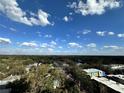 Expansive view of the neighborhood, showcasing the lush greenery and blue skies at 101 S Eola Dr # 1009, Orlando, FL 32801