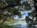 Picturesque lake view framed by mature trees, showcasing serene waters and distant shoreline scenery at 2913 Carmia Dr, Orlando, FL 32806