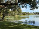 Scenic lake view with lush greenery, tranquil water, and peaceful wildlife along the shoreline at 2913 Carmia Dr, Orlando, FL 32806