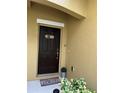 Charming front door with decor and a welcome mat, complemented by decorative plants at 8237 Serenity Spring Dr # 2605, Windermere, FL 34786