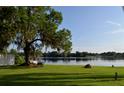 Lush backyard with a large tree overlooking a serene lake, perfect for outdoor relaxation at 3045 Cecelia Dr, Apopka, FL 32703