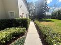 A sunny walkway to the townhome, lined with manicured shrubs and a view of the green lawn and lake at 6292 Twain Street # 108, Orlando, FL 32835