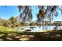 Picturesque lake view with a charming dock, framed by Spanish moss hanging from a tree at 1461 Helena Ct, Deltona, FL 32725