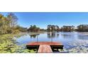 Scenic lake view showcasing a wooden dock surrounded by lily pads and lush greenery at 1461 Helena Ct, Deltona, FL 32725