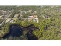 High aerial view showcasing the home's location amidst trees and other houses near a dark lake at 41975 Aspen St, Eustis, FL 32736