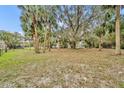 A tree-filled lot has plenty of room for recreation, and the house sits in the background at 1350 N Hart Rd, Geneva, FL 32732