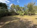 Expansive backyard offering plenty of space for outdoor activities, gardening, and enjoying nature at 1348 Cr 605, Bushnell, FL 33513