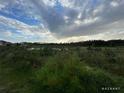 Scenic view of the backyard showcasing a tranquil pond surrounded by lush greenery and natural landscape at 1385 Sawgrass Hammock Ln, Davenport, FL 33837