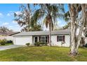 Single-story home with attached garage, manicured lawn, mature landscaping, and neutral exterior paint at 250 Douglas Dr, Eustis, FL 32726