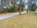 Quiet street lined with mature trees and natural landscaping in front of property at 701 S Delaware Ave, Deland, FL 32720