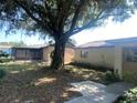 View of the backyard featuring mature tree, patio, and partial view of the home's exterior at 12314 Virginia Dr, Leesburg, FL 34788