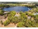Stunning aerial shot reveals a private estate nestled by a serene lake and lush greenery at 19715 Eaglesview Cir, Umatilla, FL 32784