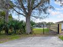 Iron gate leading to a serene green space, surrounded by a lush tree and manicured greenery at 215 Nob Hill Cir, Longwood, FL 32779