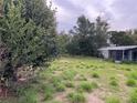 A view of the home's backyard, overgrown vegetation and a screened back porch at 1606 26Th St, Orlando, FL 32805