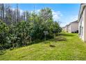A view of the green backyard featuring satellite dishes surrounded by trees at 13801 Timberland Dr # 202, Orlando, FL 32824