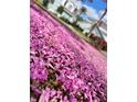 Ground-level shot of a yard filled with fallen pink blossoms, creating a vibrant scene at 7691 Heritage Crossing Way # C-1, Reunion, FL 34747