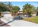 Secluded backyard featuring a private pool, mature palms, and a spacious two-car garage at 26 Backspin Ln, Orlando, FL 32804