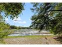 Scenic view of lake framed by tree branches, offering a glimpse of the tranquil waters and surrounding greenery at 1343 Spring Lake Rd, Fruitland Park, FL 34731