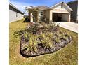 Landscaped front yard with decorative grasses, small tree and plants at 1972 Victoria St, Davenport, FL 33837
