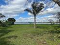 Large green backyard with a palm tree and stunning views of the lake at 935 Florence Ave, Orlando, FL 32811