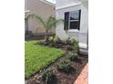 Landscaped front yard featuring green grass, mulch, and a young palm tree at 11178 Longleaf Woods Dr, Orlando, FL 32832