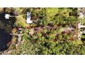 Aerial view of a beautiful lakefront property with a large tree-filled lot outlined in red at 10433 Trout Rd, Orlando, FL 32836