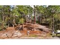 Beautiful wooded homesite featuring mature pine trees and picturesque landscape at 10433 Trout Rd, Orlando, FL 32836