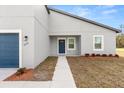 Inviting single-story home with a blue front door, tidy landscaping, and a concrete walkway at 3995 Sw 151 Street, Ocala, FL 34473