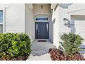 Inviting front entry with a dark blue door, manicured landscaping, and decorative lantern at 411 Lily Ln, Davenport, FL 33837