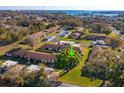 Aerial view of the neighborhood highlighting the home, landscaping, and proximity to the lake at 30113 Robin Ln, Tavares, FL 32778