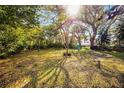 Spacious backyard featuring mature trees, lush green foliage, and natural sunlight at 303 S Forest Ave, Orlando, FL 32803