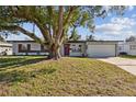 Landscaped front yard with mature tree complements this charming single-story home with attached garage at 3632 E Kaley Ave, Orlando, FL 32812