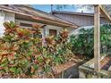 Close up of an attractive entrance with tropical plant life at 105 Morning Glory Dr, Lake Mary, FL 32746