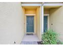 Exterior shot of the front door, surrounded by tropical plants, offering a glimpse of Florida living at 9819 Red Eagle Dr, Orlando, FL 32825