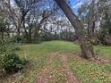 Lush green lawn and mature trees offering shade and privacy in this vacant lot at 8801 Hackney Prairie Rd, Orlando, FL 32818