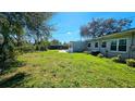 Spacious backyard with lush green grass, mature trees, and a view of the home's back exterior at 161 Randia Dr, Orlando, FL 32807