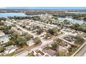 Aerial view of a suburban neighborhood with mature trees and a lake nearby at 250 Ryans Ridge Ave, Eustis, FL 32726