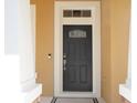 Elegant front door with decorative glass detail, framed by white trim and complemented by a stylish doorbell at 2934 Wild Tamarind Blvd, Orlando, FL 32828