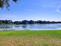 Lakeside view featuring grassy yard with a tree-lined backdrop under a clear blue sky at 2055 Jessamine Ct, Deltona, FL 32738