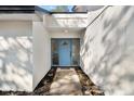 Inviting entryway featuring a striking blue front door and tasteful landscaping along the walkway at 277 Sandpiper Dr, Casselberry, FL 32707