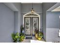 Elegant front entryway featuring decorative glass doors and stylish potted plants at 3172 Bayview Ln, St Cloud, FL 34772