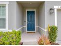 Welcoming front entrance with a stylish blue door and decorative plants at 3493 Lazy River Ter, Sanford, FL 32771