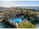 Aerial view of community pool near the water featuring palm trees and lounge chairs at 2333 Pesaro Cir, Ocoee, FL 34761