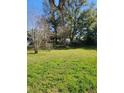 View of the backyard with some trees at 4202 Mizell St, Orlando, FL 32812